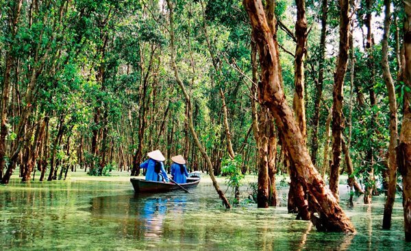 Gáo giồng Vào mùa nước nổi,trên các cánh đồng hàng nghìn cánh cò trắng bay lượn trên