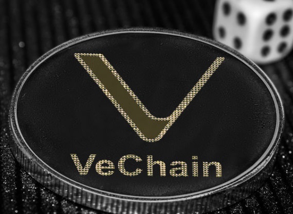 Đồng VeChain coin là gì ? Lược sử hình thành và phát triển