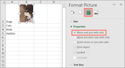 Cách chèn ảnh vào ô (cell) excel