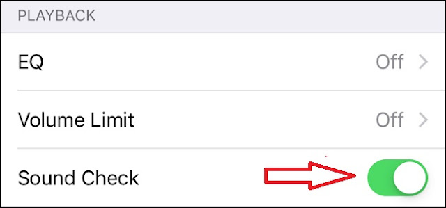 Cách bật kiểm tra âm thanh trên iPhone